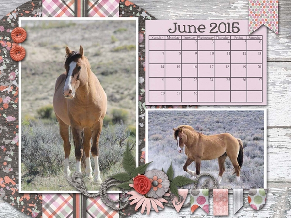 May Desktop