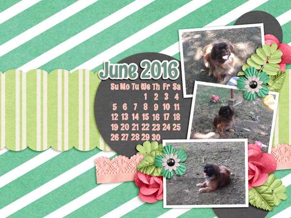 May desktop