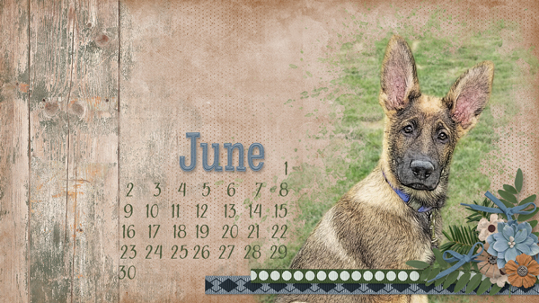 May Desktop