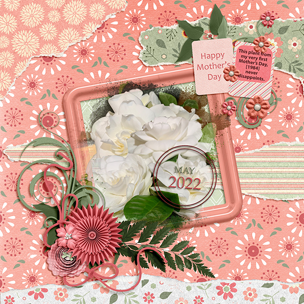 May Flowers 2022
