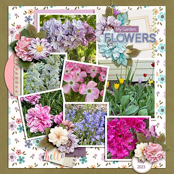 May-Flowers.jpg