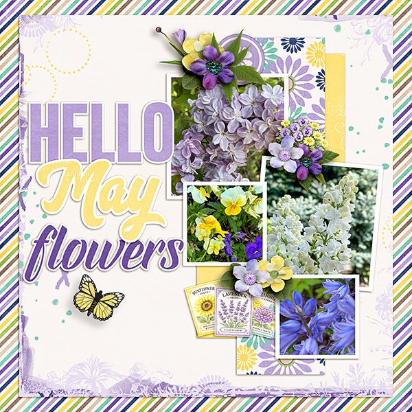May-Flowers.jpg