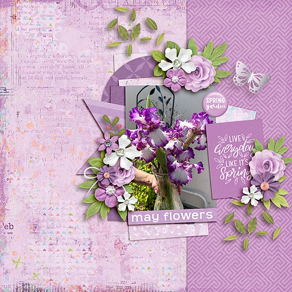 may-Flowers.jpg