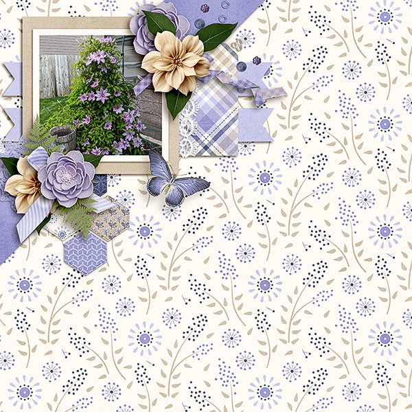 May-Flowers.jpg