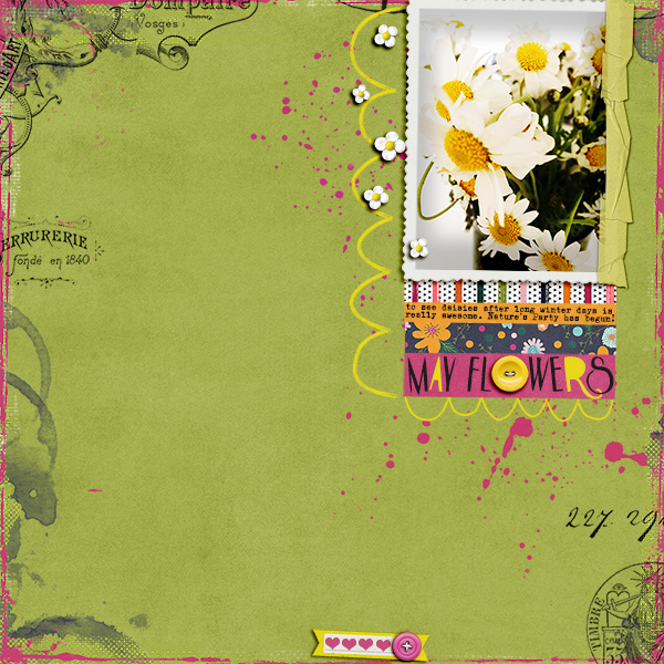 May Flowers
