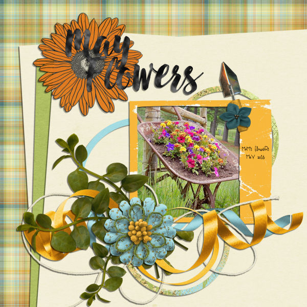 May Flowers