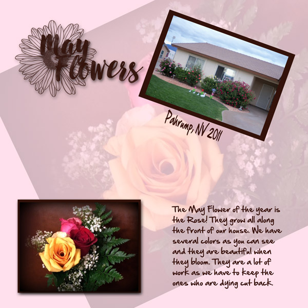 May Flowers