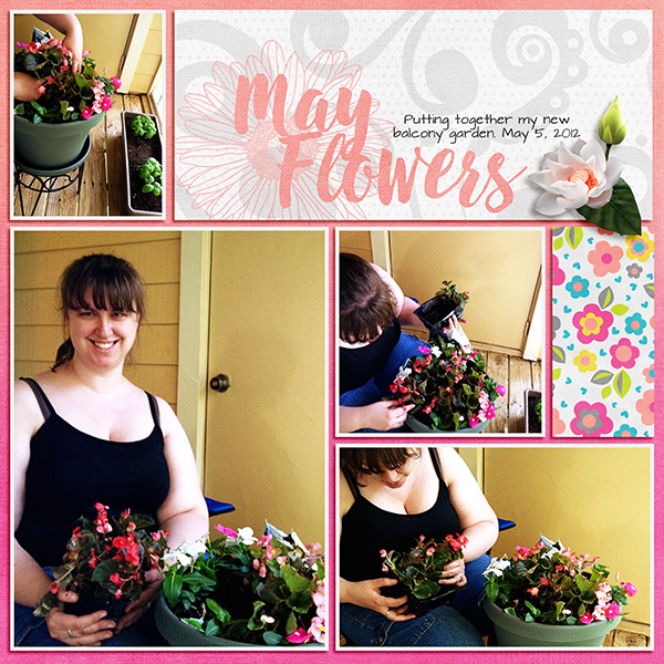 May Flowers