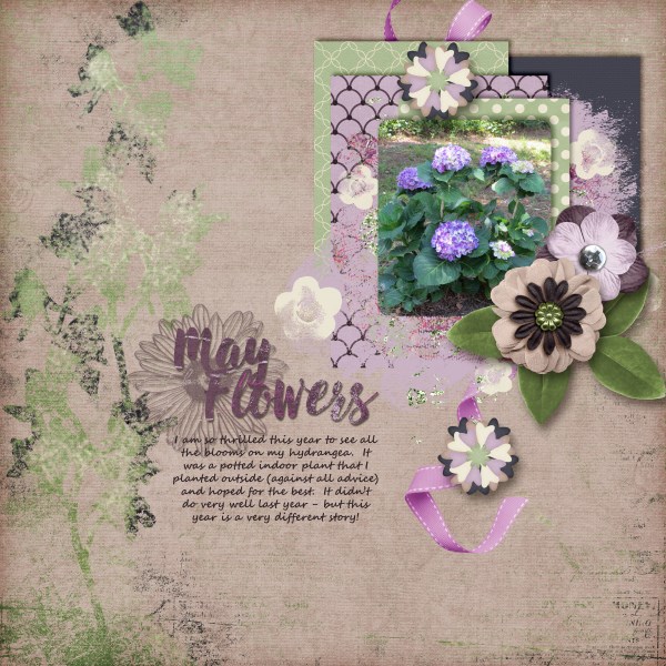 May Flowers