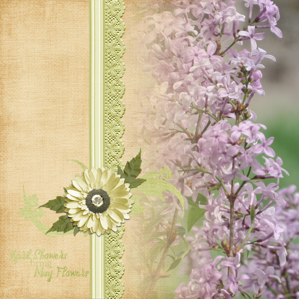 May Flowers