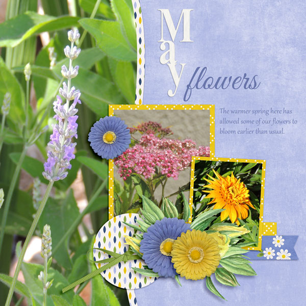May Flowers