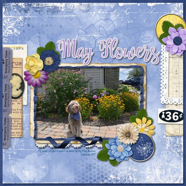 May Flowers