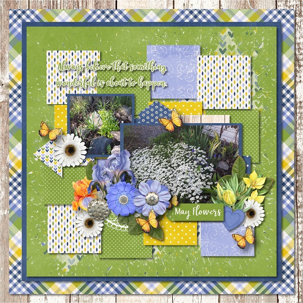 May Flowers