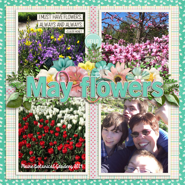 May Flowers