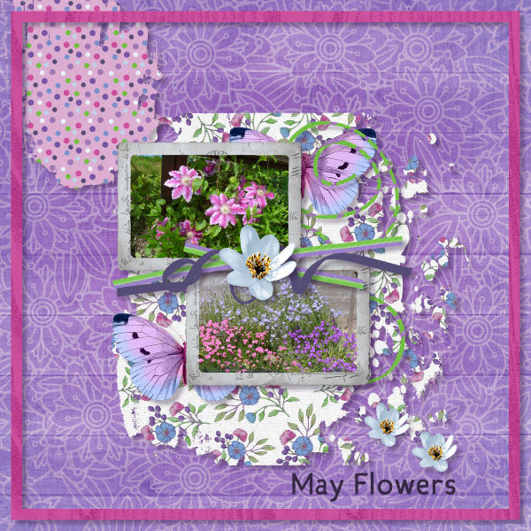May Flowers