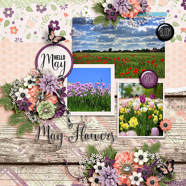 May Flowers