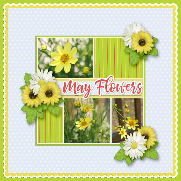 May Flowers