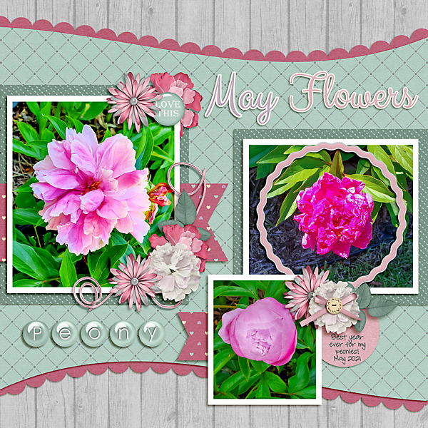 May Flowers