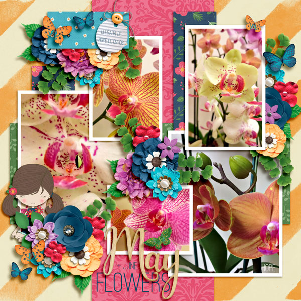 may flowers