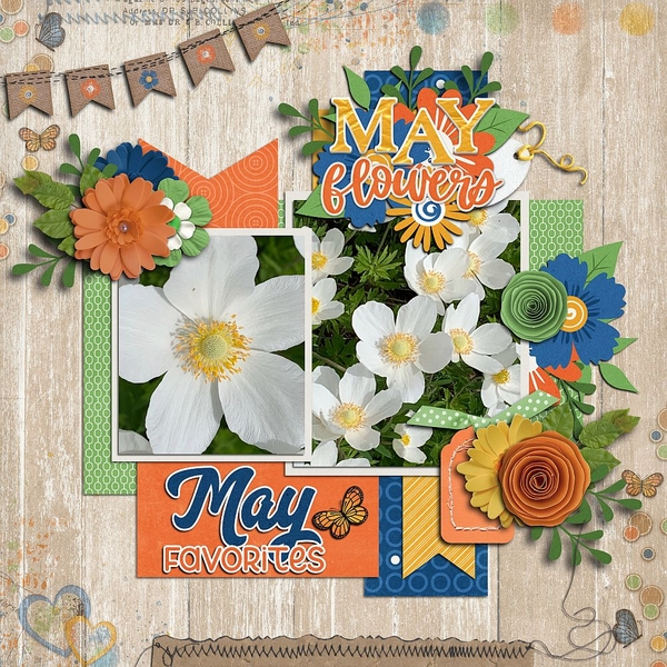 May Flowers