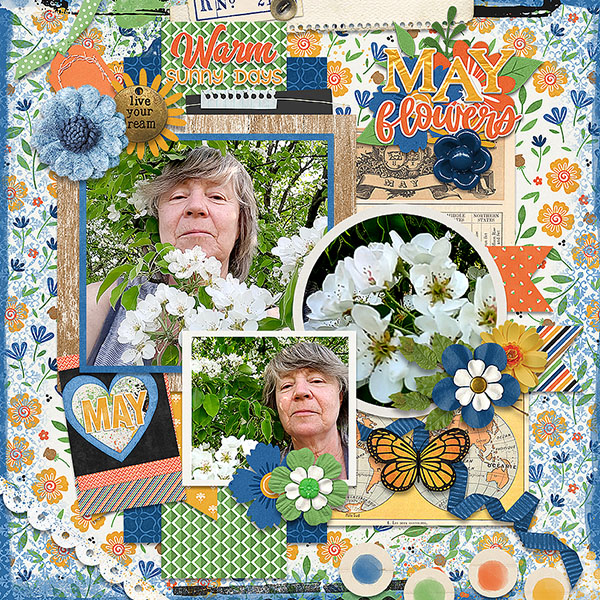 May Flowers