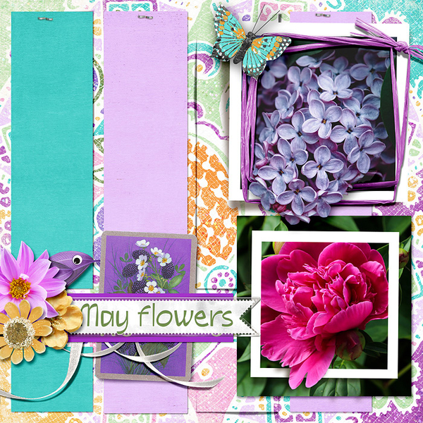 May Flowers