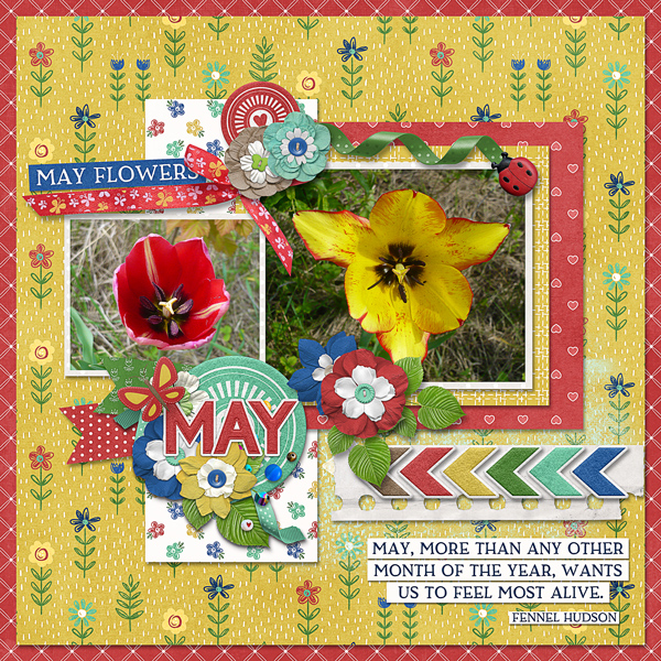 May Flowers