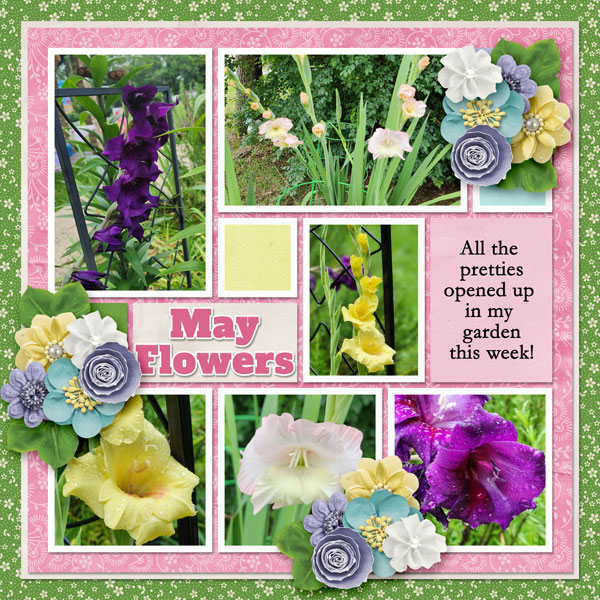 May Flowers