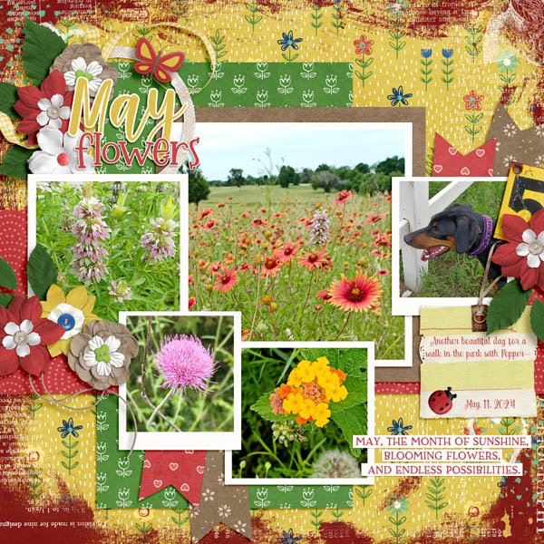 May Flowers