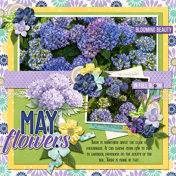 May Flowers