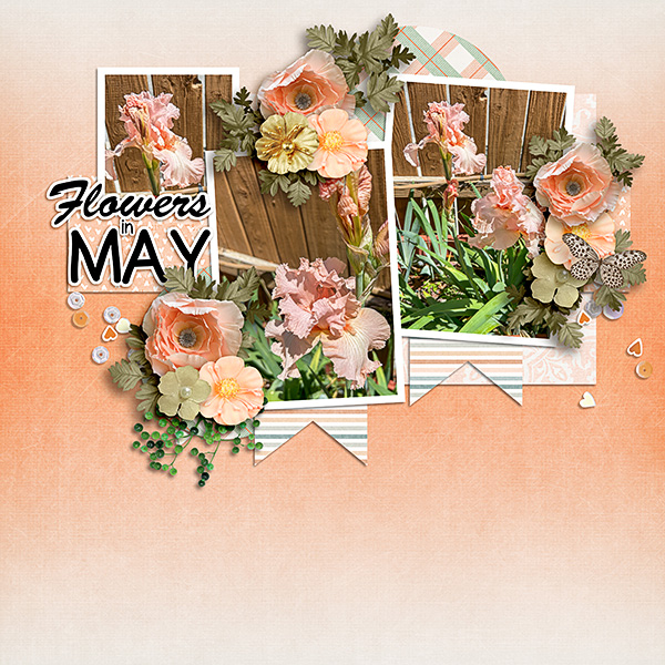 May-Flowers11