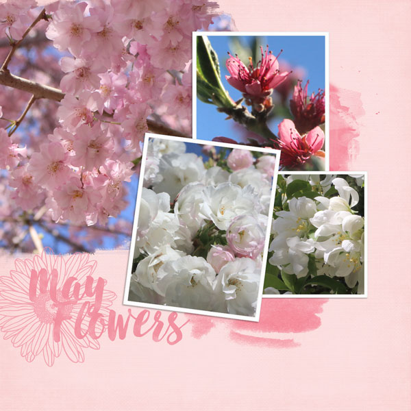 May-Flowers2