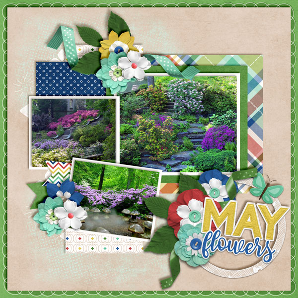 May-Flowers9