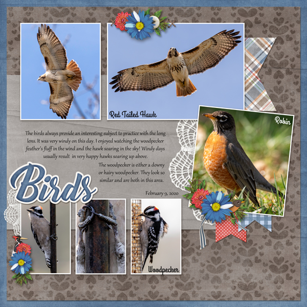 May Font - Feb Birds