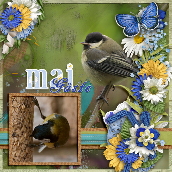 May guests