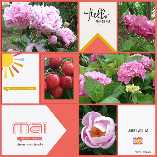 May in my garden