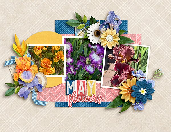 May.jpg