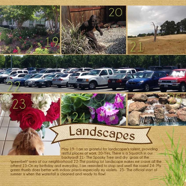May Landscapes  365