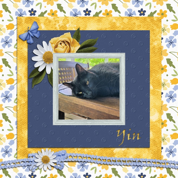 May Mini Kit Miss Yin