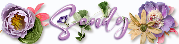 May Siggie