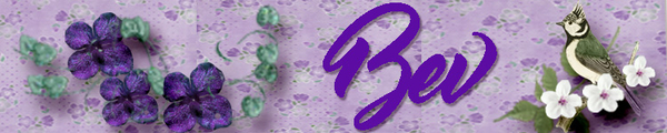 May Siggy