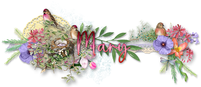 May siggy