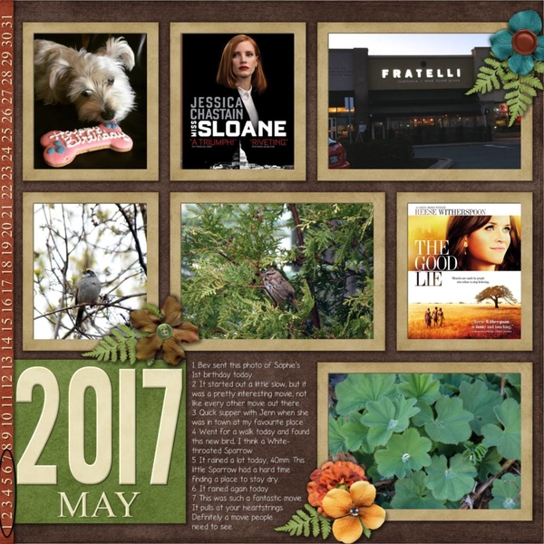 May Template Bundle - National Park