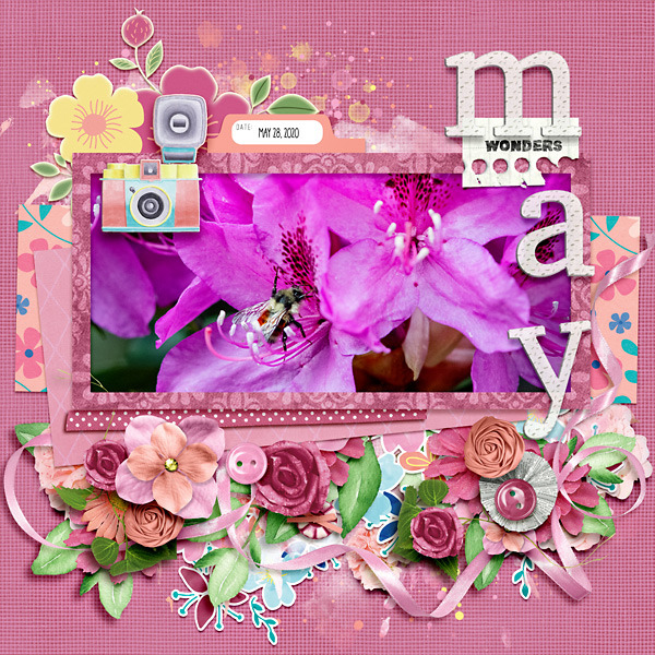 May Wonders