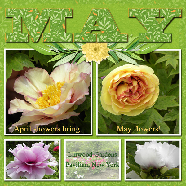 MAY