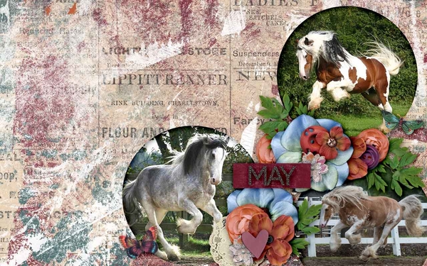 May16 Desktop