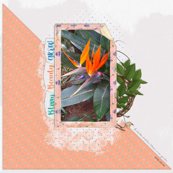 May23 Photomask