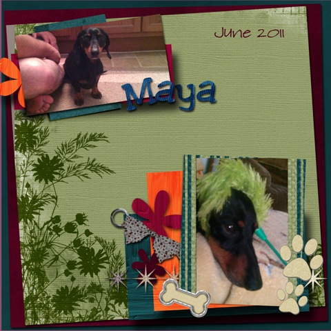 Maya_Layout_2012_copy2