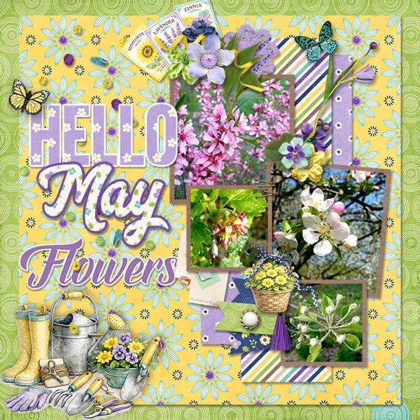 MayFlowers_ollitko_600.jpg