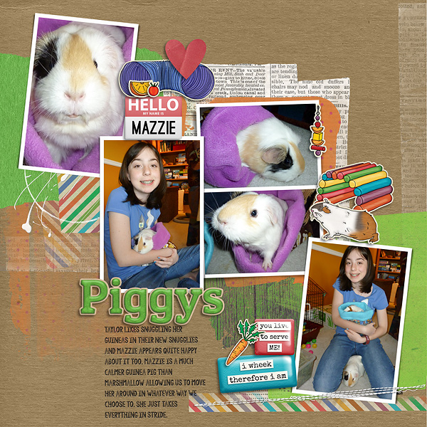 Mazzie the Guinea Pig's Snuggy 2013